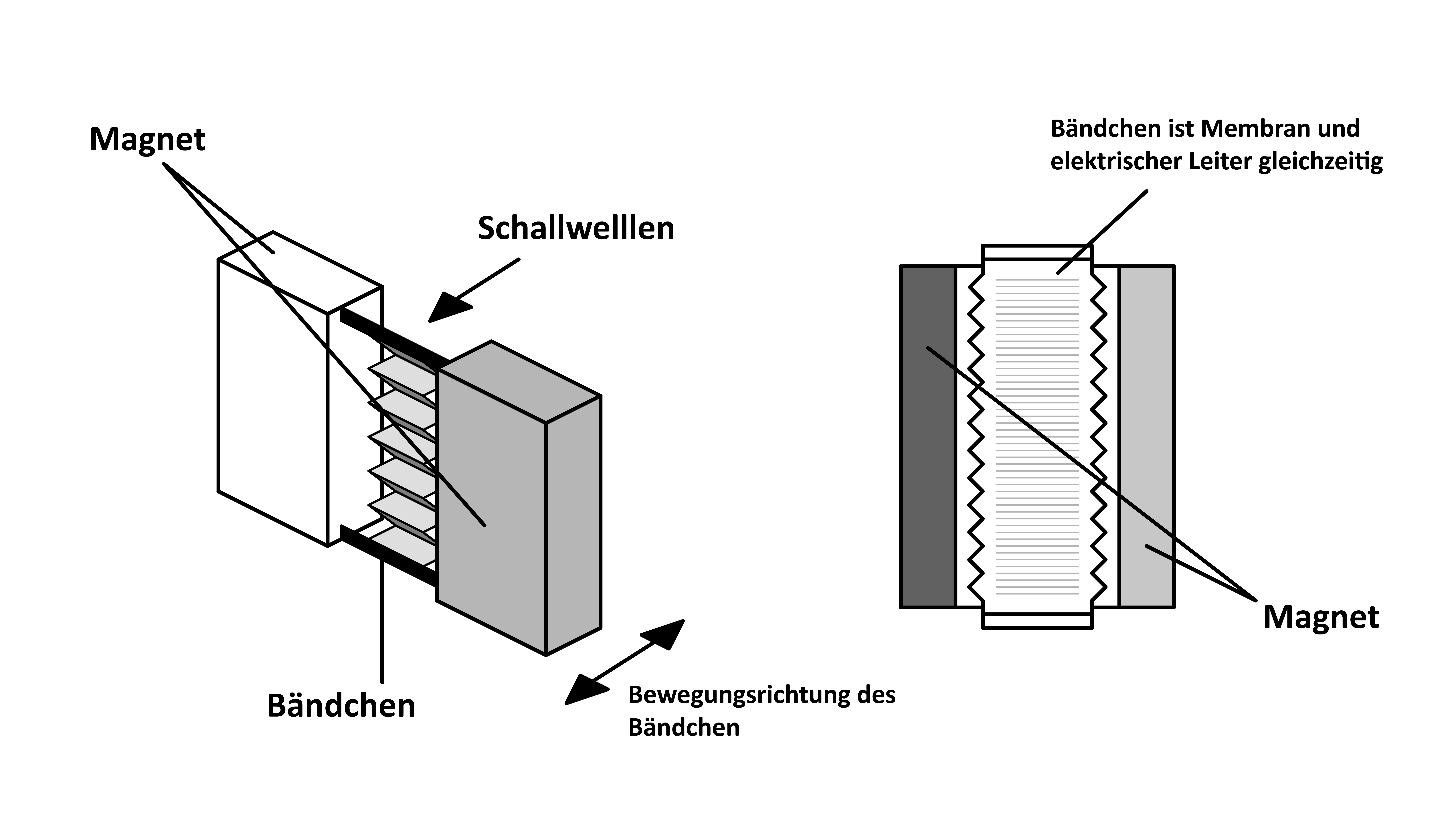 Bändchenmikrofon (1).png