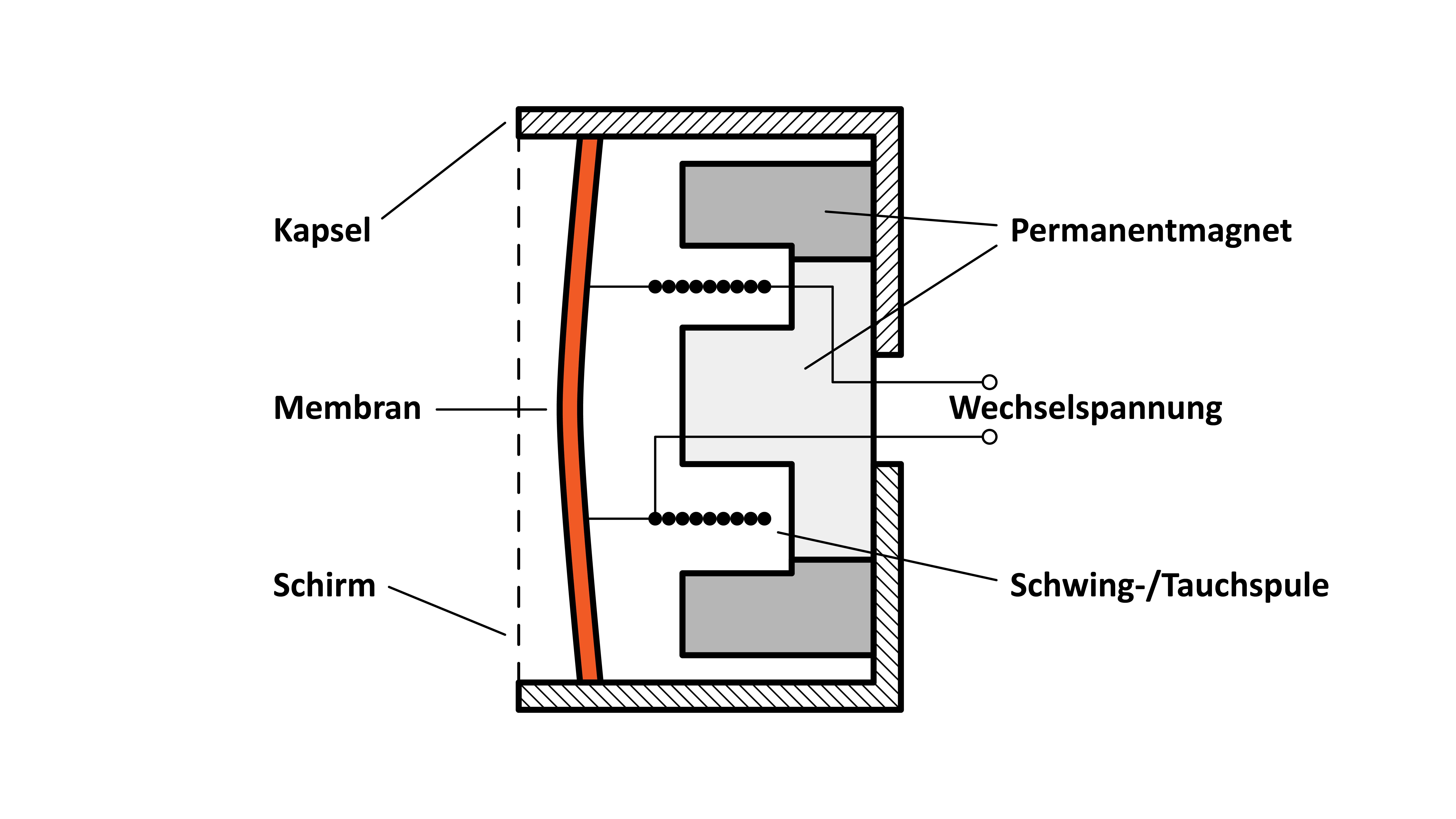 Kapsel Tauchspule.png