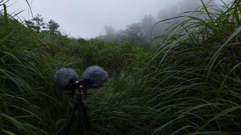 Field Recording